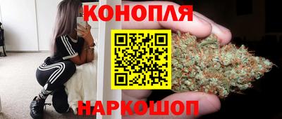 индика Сочи