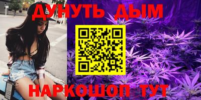индика Сочи