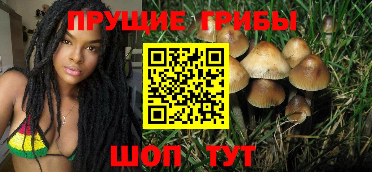 Галлюциногенные грибы Magic Shrooms Балашиха