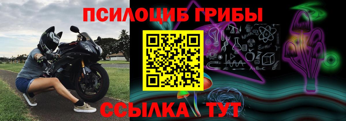 Галлюциногенные грибы GOLDEN TEACHER  Вход с VPN  Балашиха 